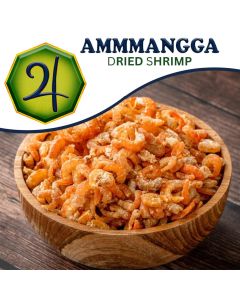 Small Shrimp